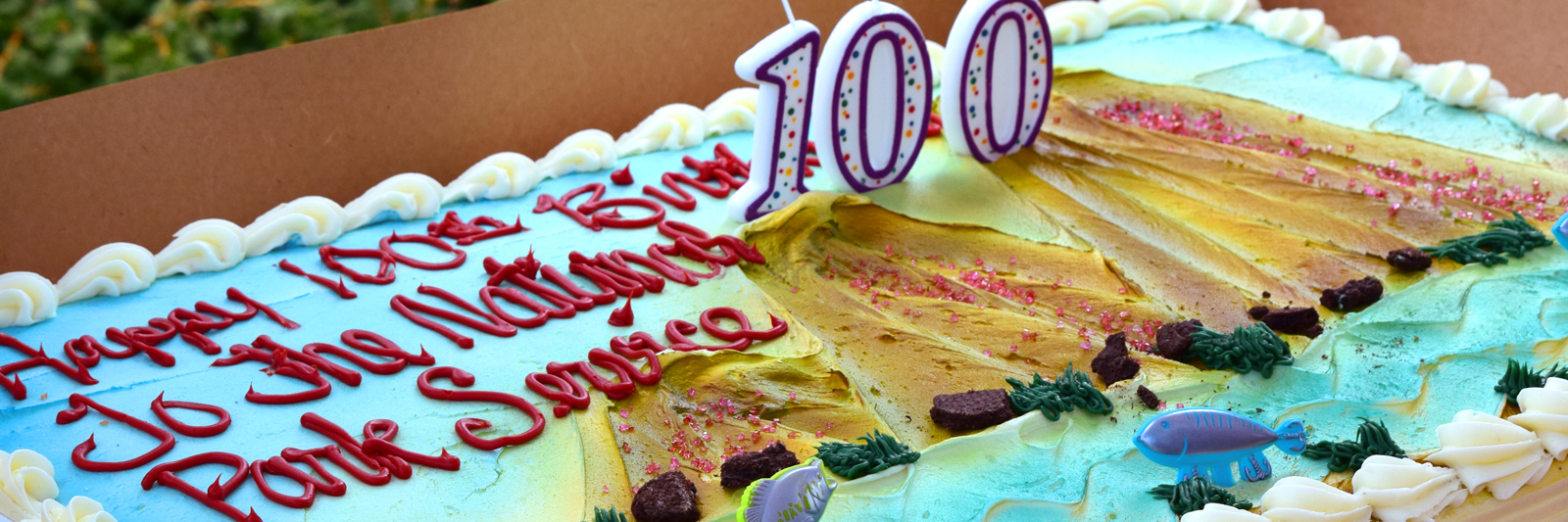 Happy Birthday NPS written in frosting on birthday cake with candles that say "100". Happy Birthday NPS written in frosting on birthday cake with candles that say "100".