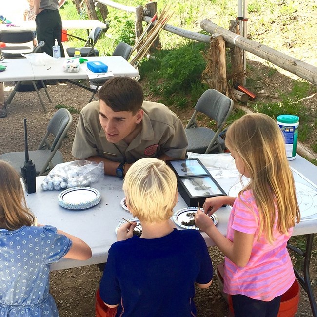 Students observe the contents of owl pellets