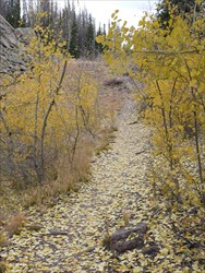Alpine Pond Trail Alpine Pond Trail