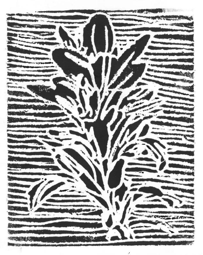 Block print carving of paintbrush flower, black and white image