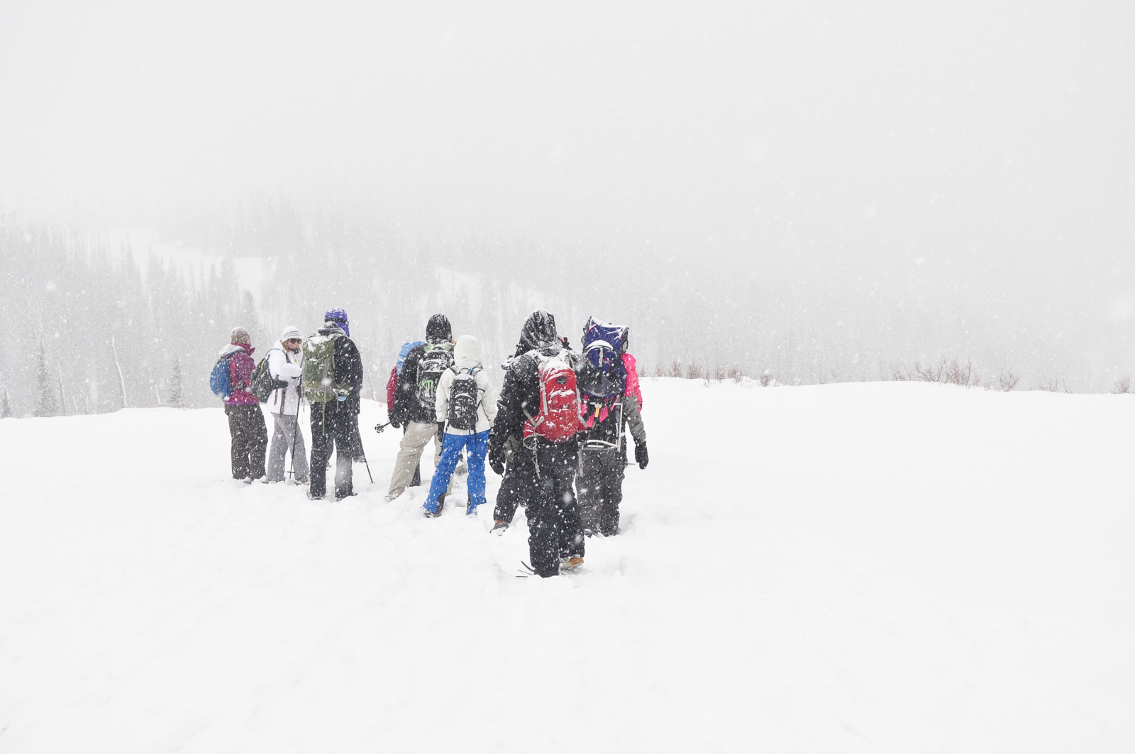 Group of visitors on snowshoe tour in wintry blizzard conditions