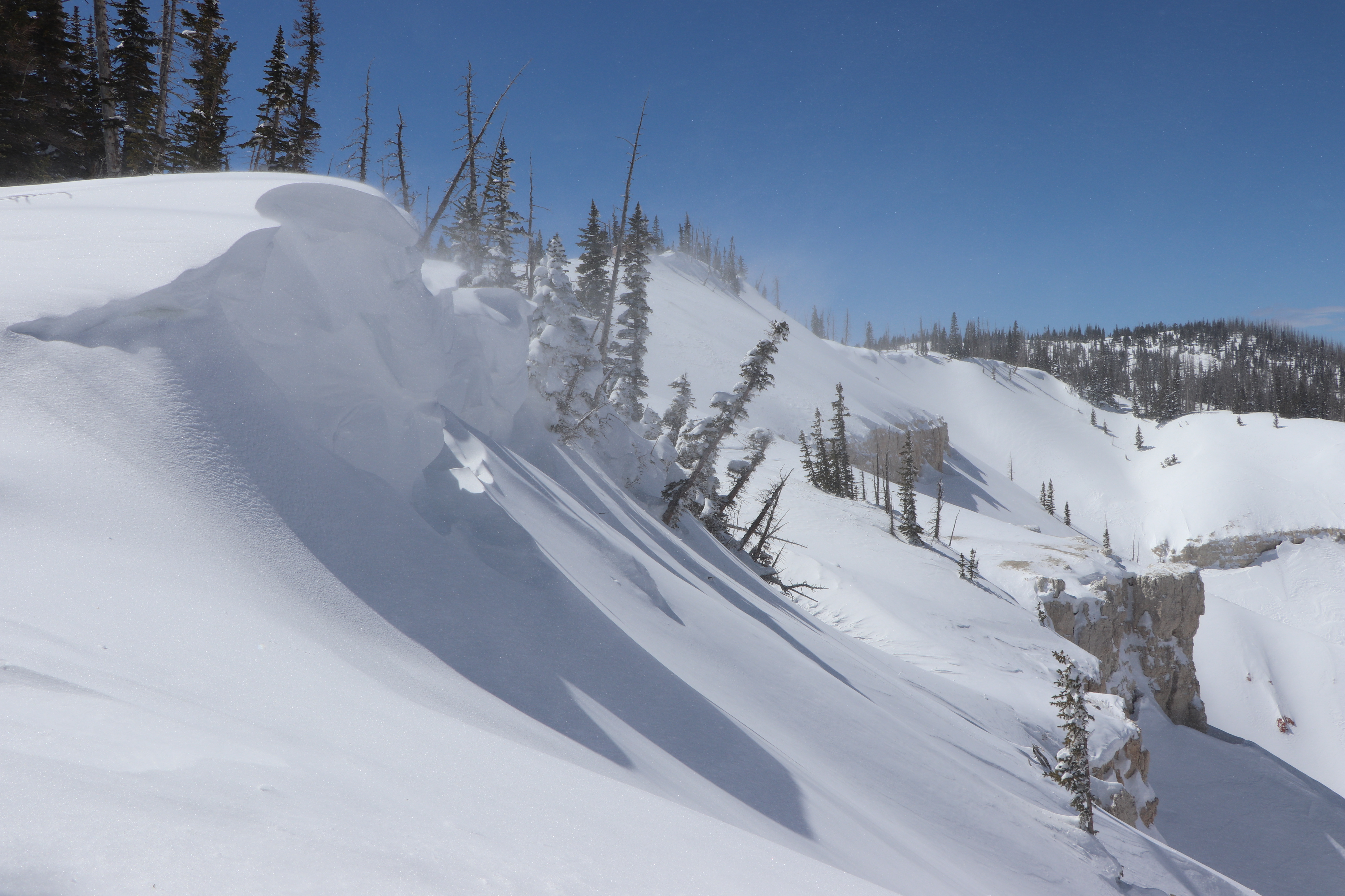 Deep snow drifts in a wave shaped cornice along the rim of Cedar Breaks.