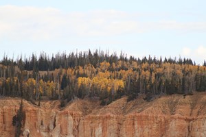 A cliffside with fall foliage on the rim against an overcast sky.