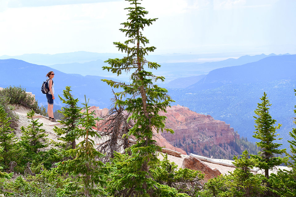 Hiking@CedarBreaks Lady standing on dirt trail, overlooking distant red and blue mountains. Evergreen trees in the foreground.