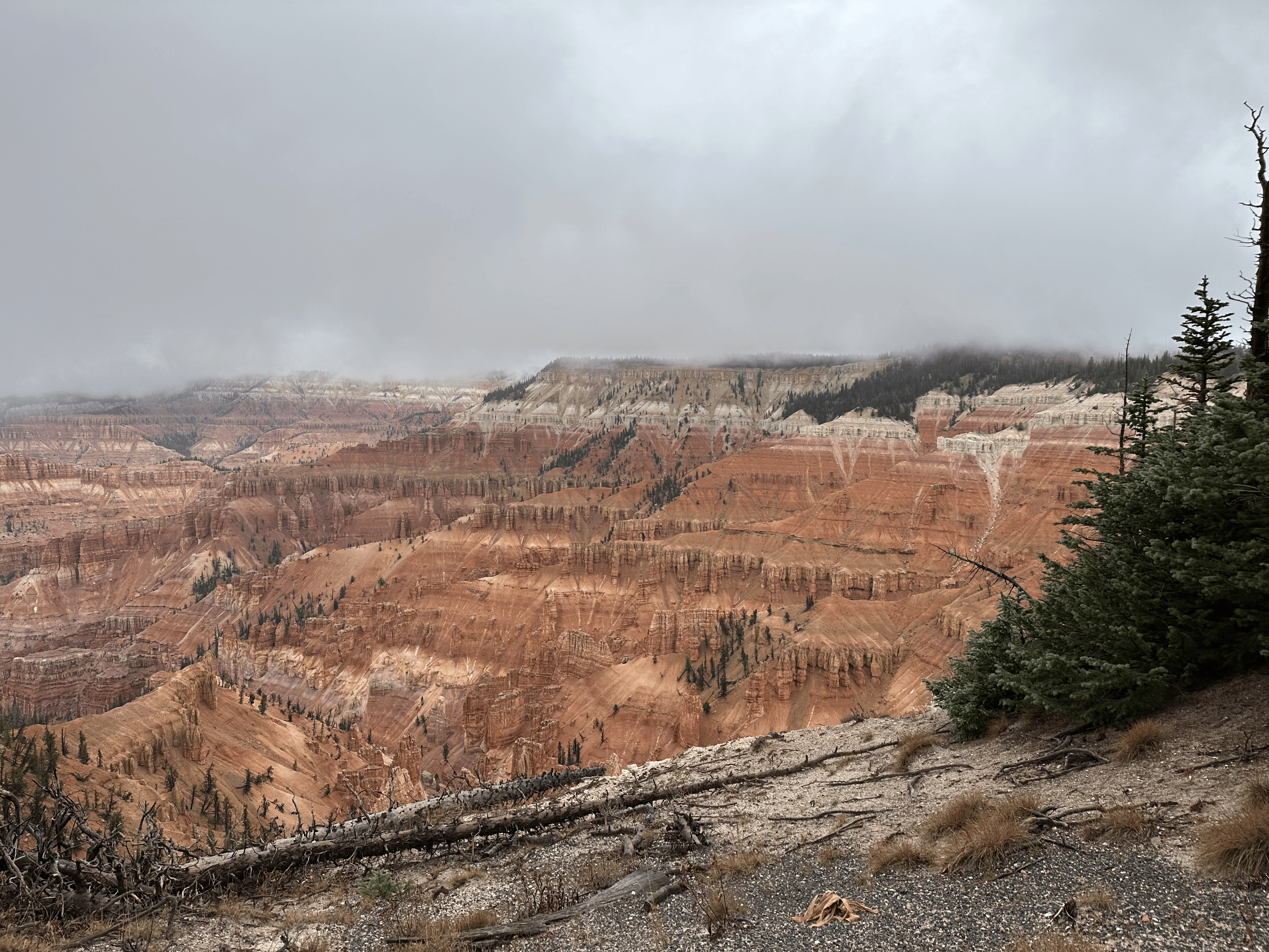 Fog blankets the Breaks on a cold morning A landscape of cliffs banded with differnt shades of red and tan is partially obstructed by fog.