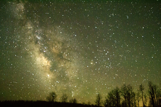 Starry skies above silhouettes of trees. Starry skies above silhouettes of trees.