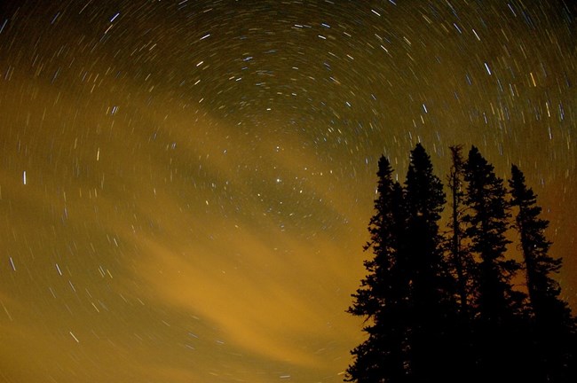 Stars circle in the sky with pine trees in the foreground