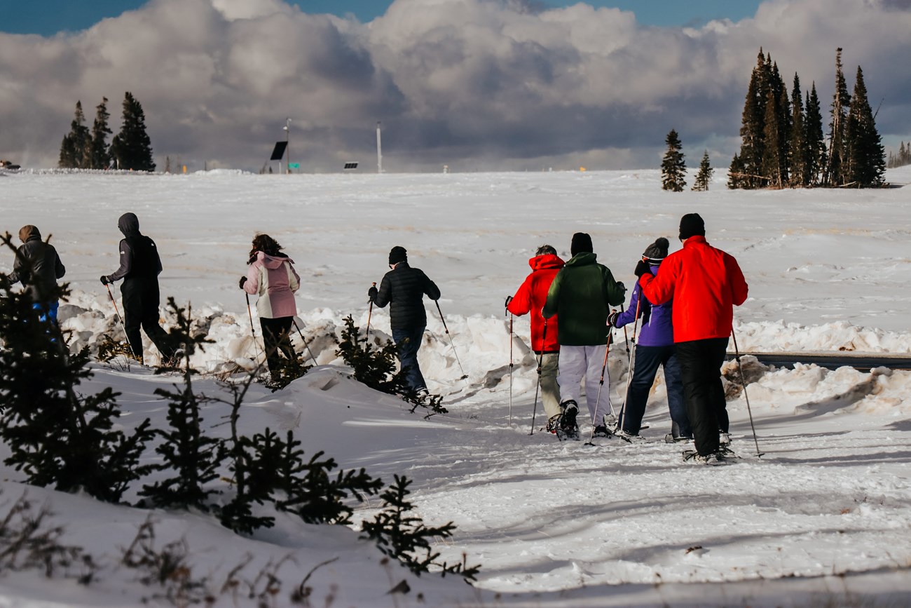 A group of snowshoers begin their hike through the sub-alpine forest.