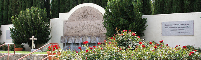 Roses bloom near a gravesite Roses bloom near a gravesite