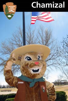 Chami, our mascot, is a spotted ground squirrel who teaches visitors and school groups about the importance of wildlife protection.