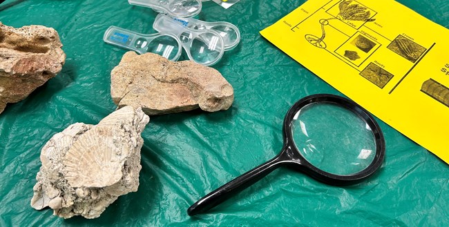 Magnifying glasses and fossils on table