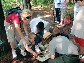Pond Study at Sibley Pond. Pond Study at Sibley Pond.