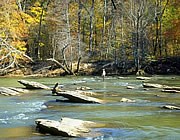 Shoals at Island Ford - Photo by Julie Burroughs