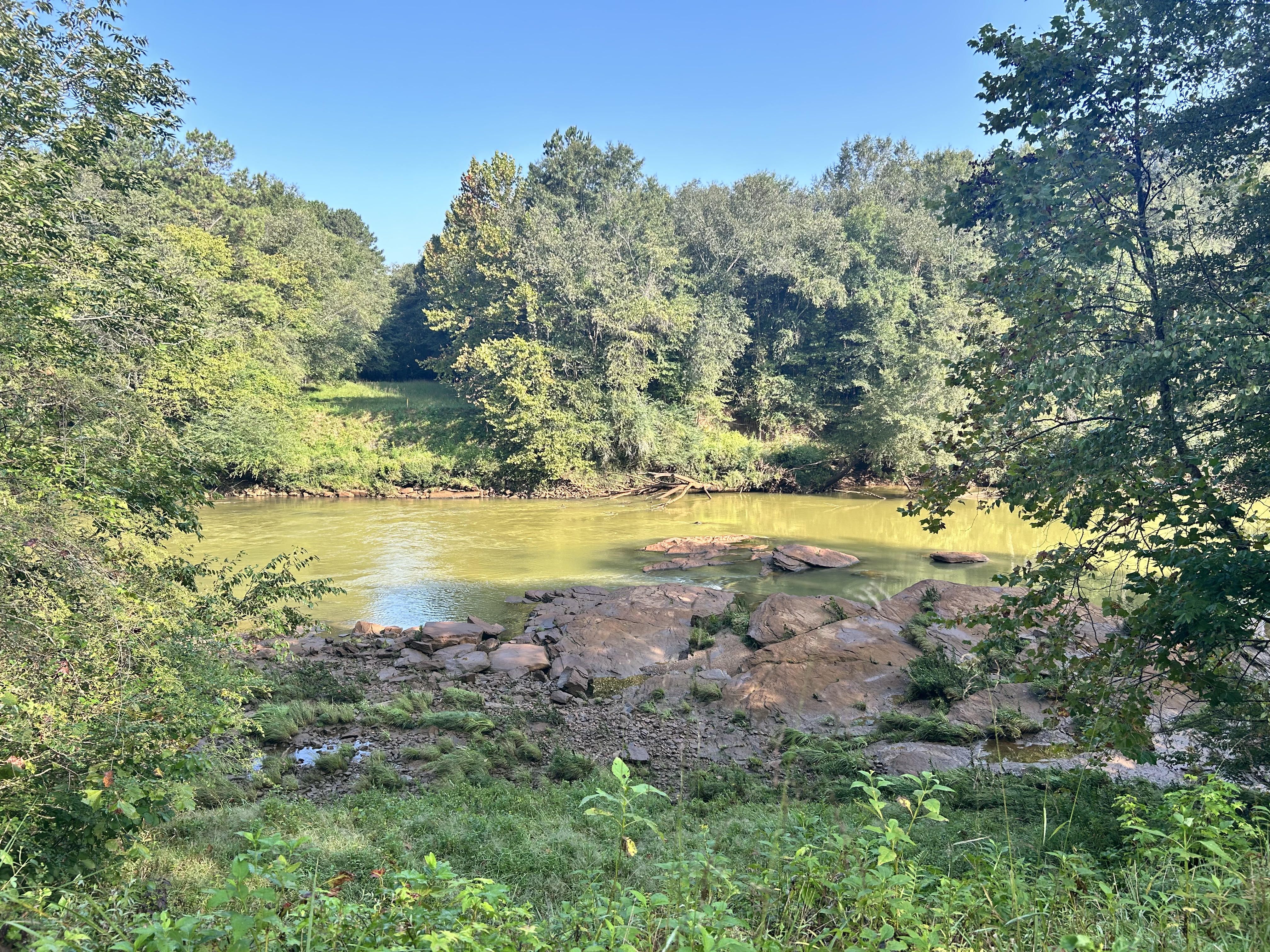 Rocky shoals on a tree-lined river