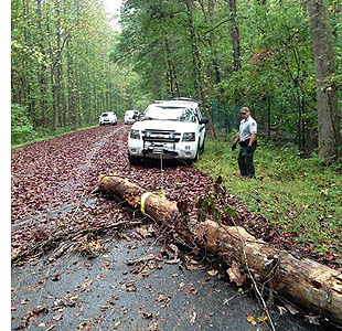 Clearing downed tree across road in the Jones Bridge unit.