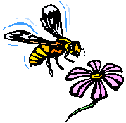 bee