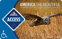2021 Interagency Access Lifetime Pass with image of a soaring owl.