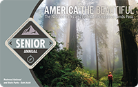 2021 Interagency Senior Annual Pass with image of hiker in misty forest