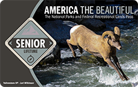 2021 Interagency Lifetime Annual Pass with image of Bighorn Sheep jumping stream.