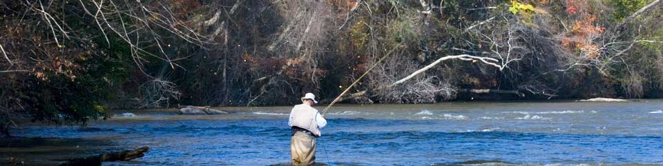 Fisherman picking the right fly for the shoals.