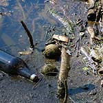 Just a sample of the garbage found floating in the river that makes visitors wonder about the quality of the water in the Chattahoochee.