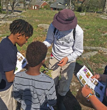 Young people looking at wildflowers with a woman in a white shirt