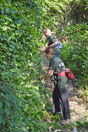 volunteers working on a trail on Lookout Mountain