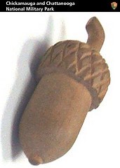 The Acorn