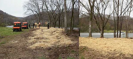 MOBE-Cleanup reduced