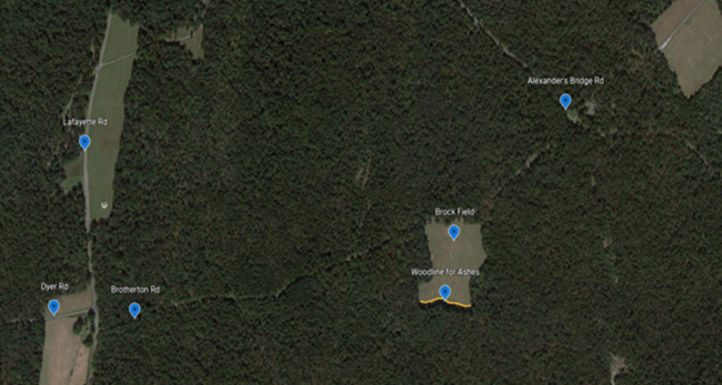 Woodline for Ashes Map - Chickamauga Battlefield