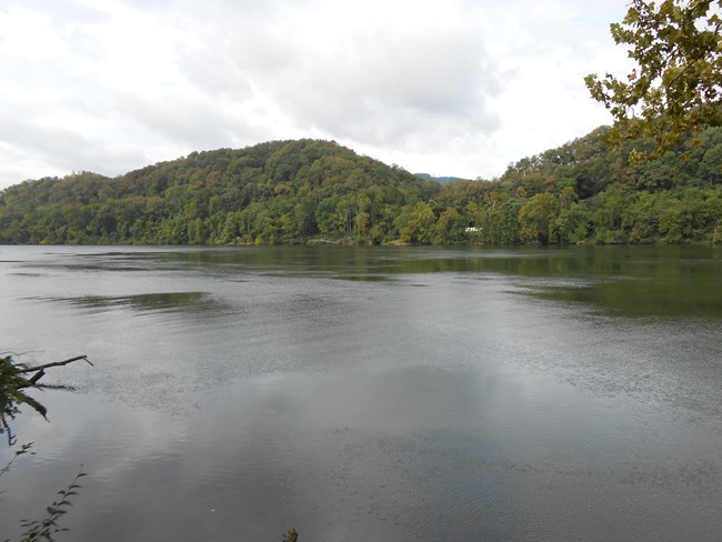 Brown's Ferry