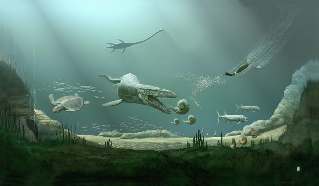 Cretaceous marine seascape