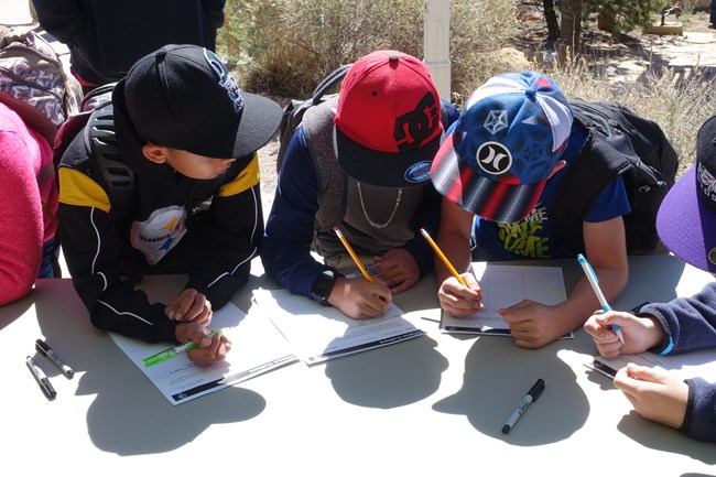 Students work on a Chaco activity.