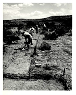 Workers digging out a path for a road.
