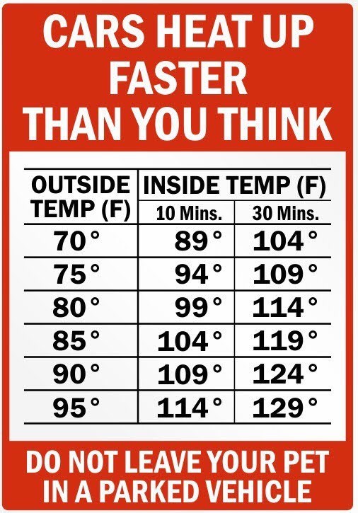 Informational sign with outside temperatures and temperatures inside a car after 10 minutes and after 30 minutes. Temperatures are given in Fahrenheit. The title of the sign reads "Cars heat up faster than you think."
