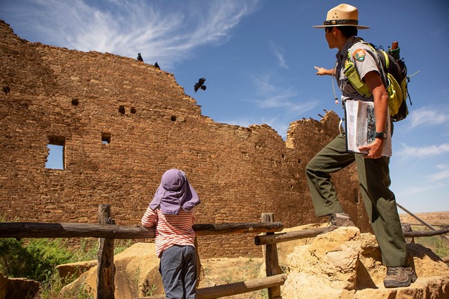 A ranger pointing out a couple birds sitting atop a wall at Pueblo Bonito.