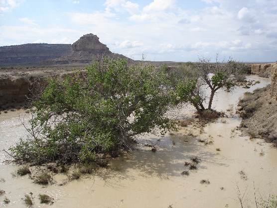 Photo of Chaco Wash in flood