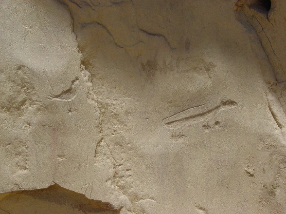 Photo of mountain lion petroglyph