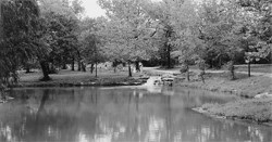 Large pool of water in a park setting