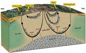 Schematic section showing flow paths of water in the Arbuckle-Simpson aquifer.