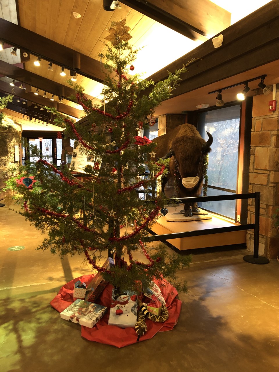 Have a happy and safe holiday season! A holiday tree with decorations stands near a taxidermy bison in a face mask.