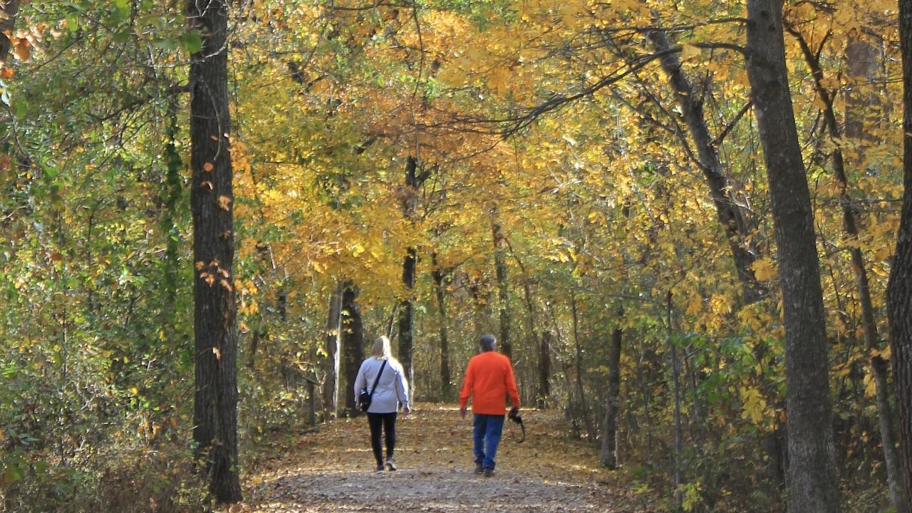 Two people walking along a trail beneath trees at Chickasaw National Recreation Area