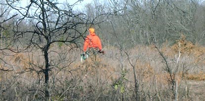 Hunter in an orange jacket walks through a forest