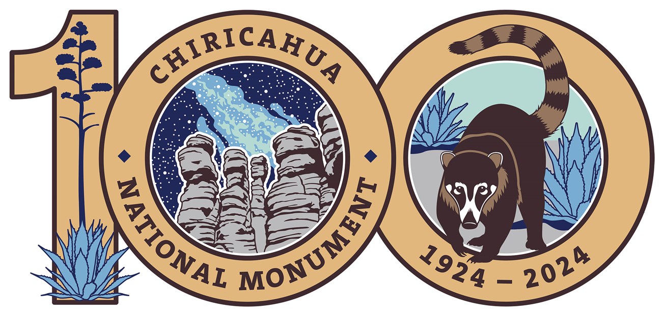 Large 100 numerals filled with agave, rock formations, milky way, and coatimundi. Text reads 'Chiricahua National Monument 1924-2024'