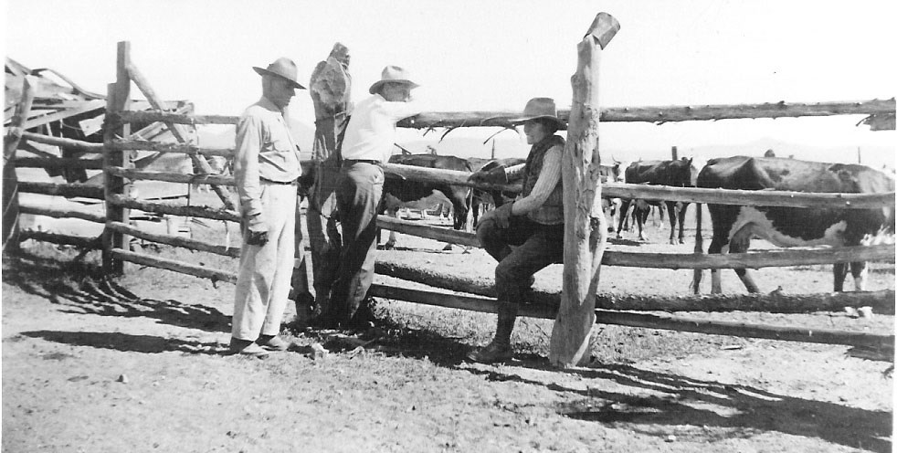 Three people stand by a wooden corral filled with cattle.