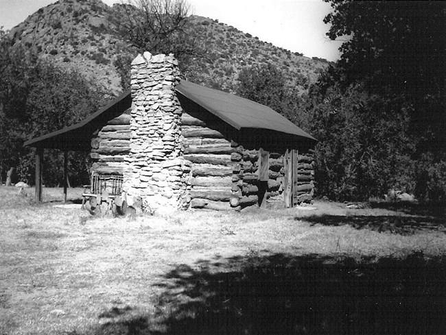 Small log cabin in field with tall pine trees around it.