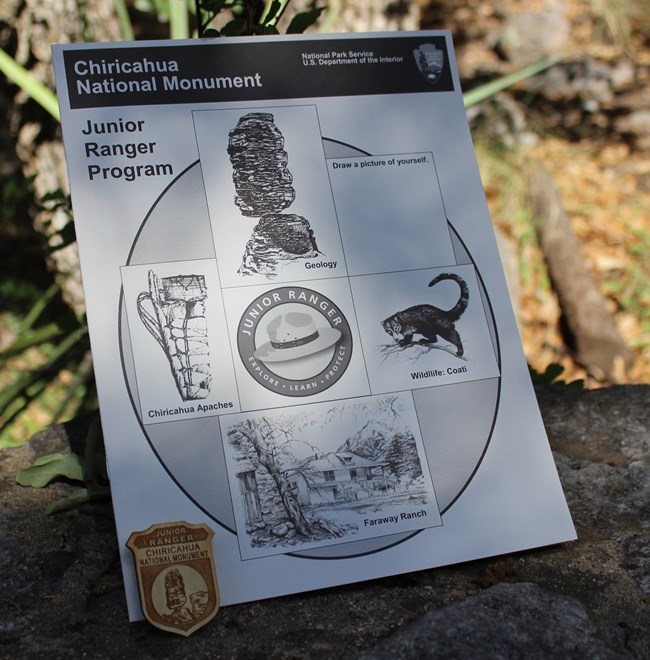 Jr Ranger Booklet and Badge