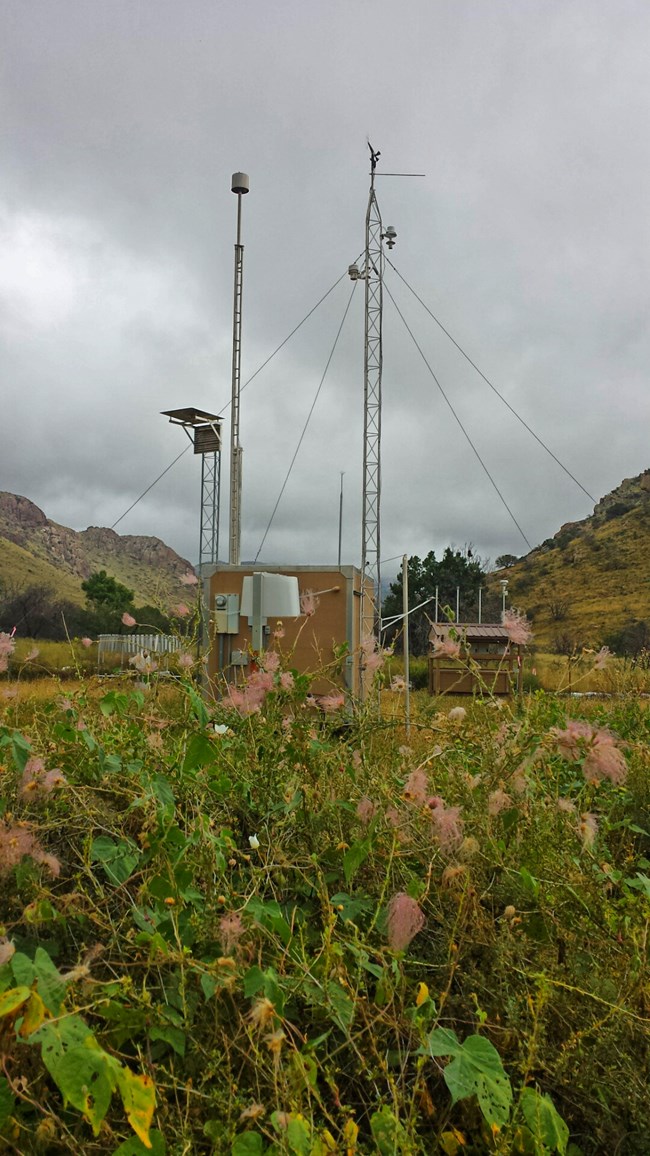 Scientific buildings and instruments behind green and pink plants, in front of a stormy sky.