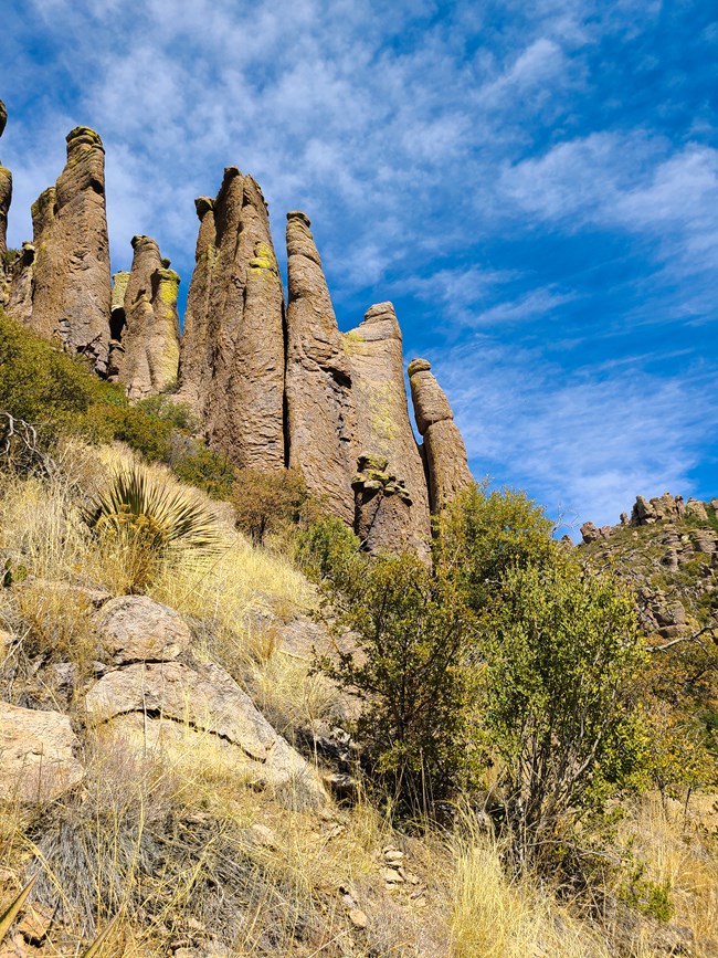large rhyolite rock formations rise above a path with trees