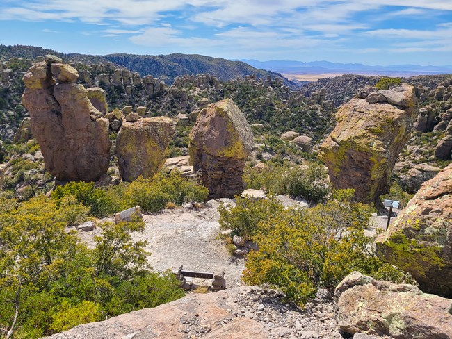 rocks and trees stand tall in front of a distant valley